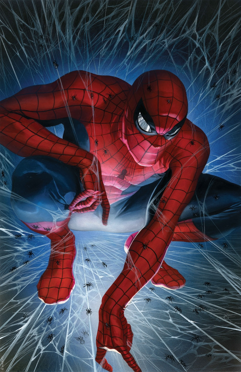 アート・デザイン・音楽 Spider-Man: Big Time: The Complete Colle アート・デザイン・音楽 Spider-Man: Big Time: The Complete