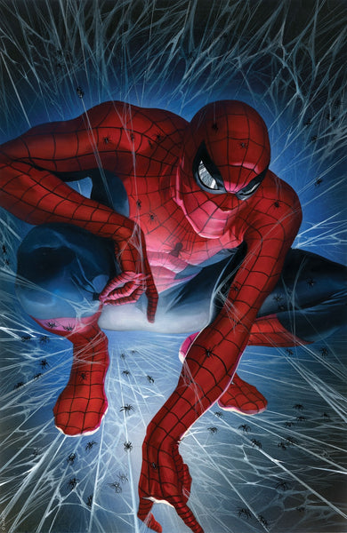 SpiderMan1TormentAR0373_grande