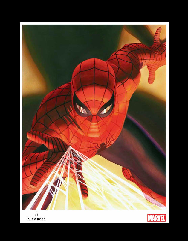 Visions: Spider-Man Matted Lithograph